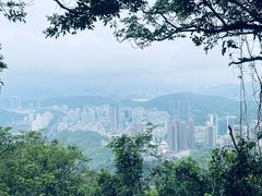 -梧桐山风景名胜区