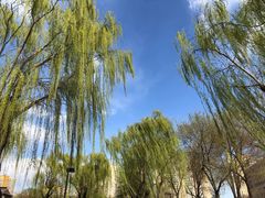 -丰台花园
