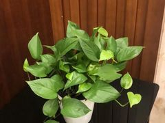 -金时代顺风大酒店(静安大融城店)