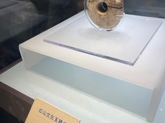 -辽宁省博物馆