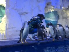 -华夏文旅西安度假区