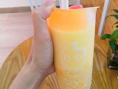 -CoCo都可(新城吾悦广场店)