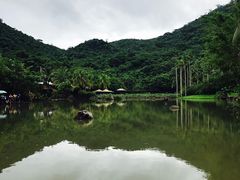 -呀诺达热带雨林