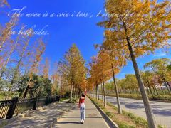 -上海长兴岛郊野公园