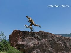 -南山植物园
