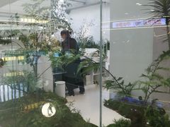 -大树餐厅(红旗街万达店)