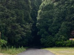 -旗山国家森林公园