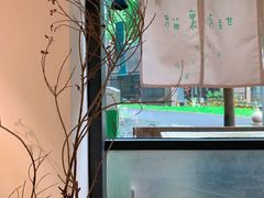 -猫里有甜
