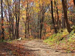 -本溪老边沟风景区