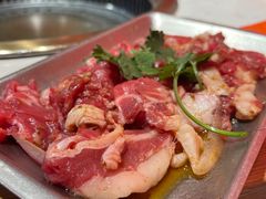 -杨记齐齐哈尔烤肉(总店)