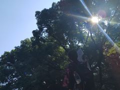 -兰亭风景区