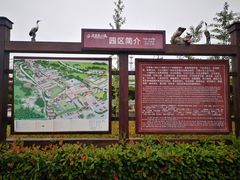 -米果果小镇