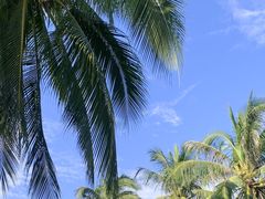 -三亚南山文化旅游区