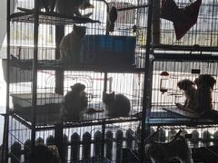 -赢吧Bliss音乐酒吧