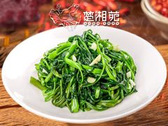 -楚湘苑(商品街大道店)