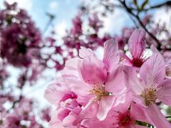 -玲珑·新粤菜(安华汇店)