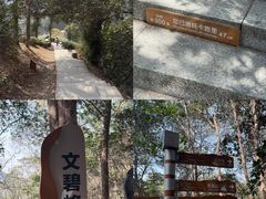 -十里琅珰
