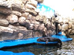 -华夏文旅海洋公园