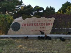 -兴城海滨风景区
