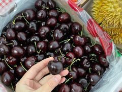 -红星农博物流中心