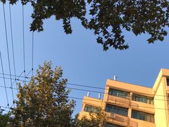 -小杨生煎(龙之梦购物中心店)