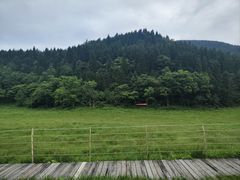 -武陵山森林公园