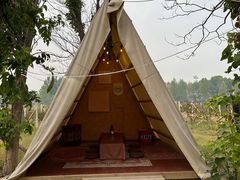 -安德鲁户外烧烤帐篷营地(马泉营店)