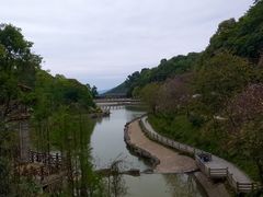 -广州市帽峰山景区