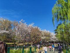 -白塘生态植物园