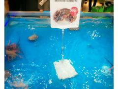-盒马鲜生(大成店)