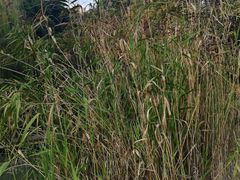 -苏州河梦清园环保主题公园