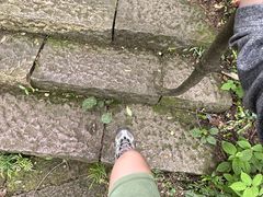 -杭州半山国家森林公园