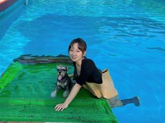 -宠物寄养训练学校