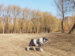 -东坝千亩湖公园