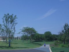 景点-盘龙城国家考古遗址公园