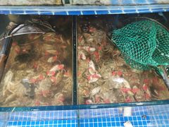 -蟹谢蒸鲜自助餐厅
