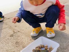 -青岛沙子口国家中心渔港