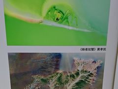 -南京鼓楼医院(鼓楼本部)