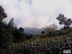 -王顺山国家森林公园