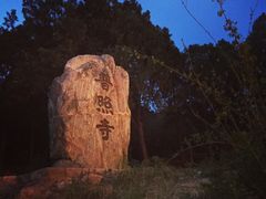 -泰山风景名胜区-普照寺
