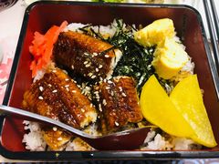 -鳗鲔料理小馆