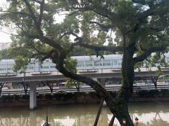 -广东胜利宾馆西关粤中餐厅