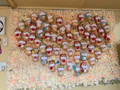 -柴犬高等学院·狗咖·柴犬售卖·宠物训练