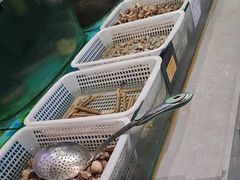 -俏东方·海味水饺·青岛菜(崂山店)