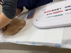 -御宝贝24h宠物医院·转诊中心·CT核磁血透中心(厦门总院)