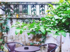-微饮cafe
