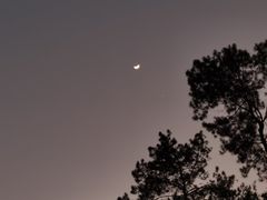 -孔雀湖生态旅游区