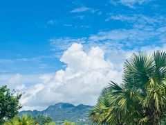 -中国科学院西双版纳热带植物园