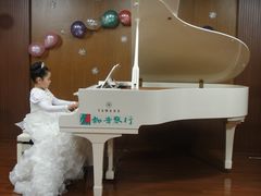 -知音艺术教育培训·钢琴培训·音乐培训(河西金鹰世界校区)