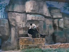 -无锡动物园·太湖欢乐园